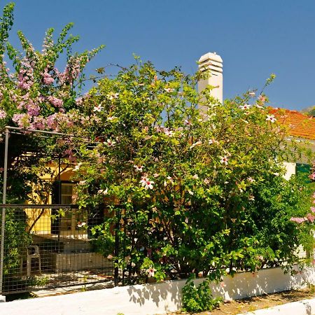 House With Garden Near The Sea Apartment Agia Efimia Екстериор снимка