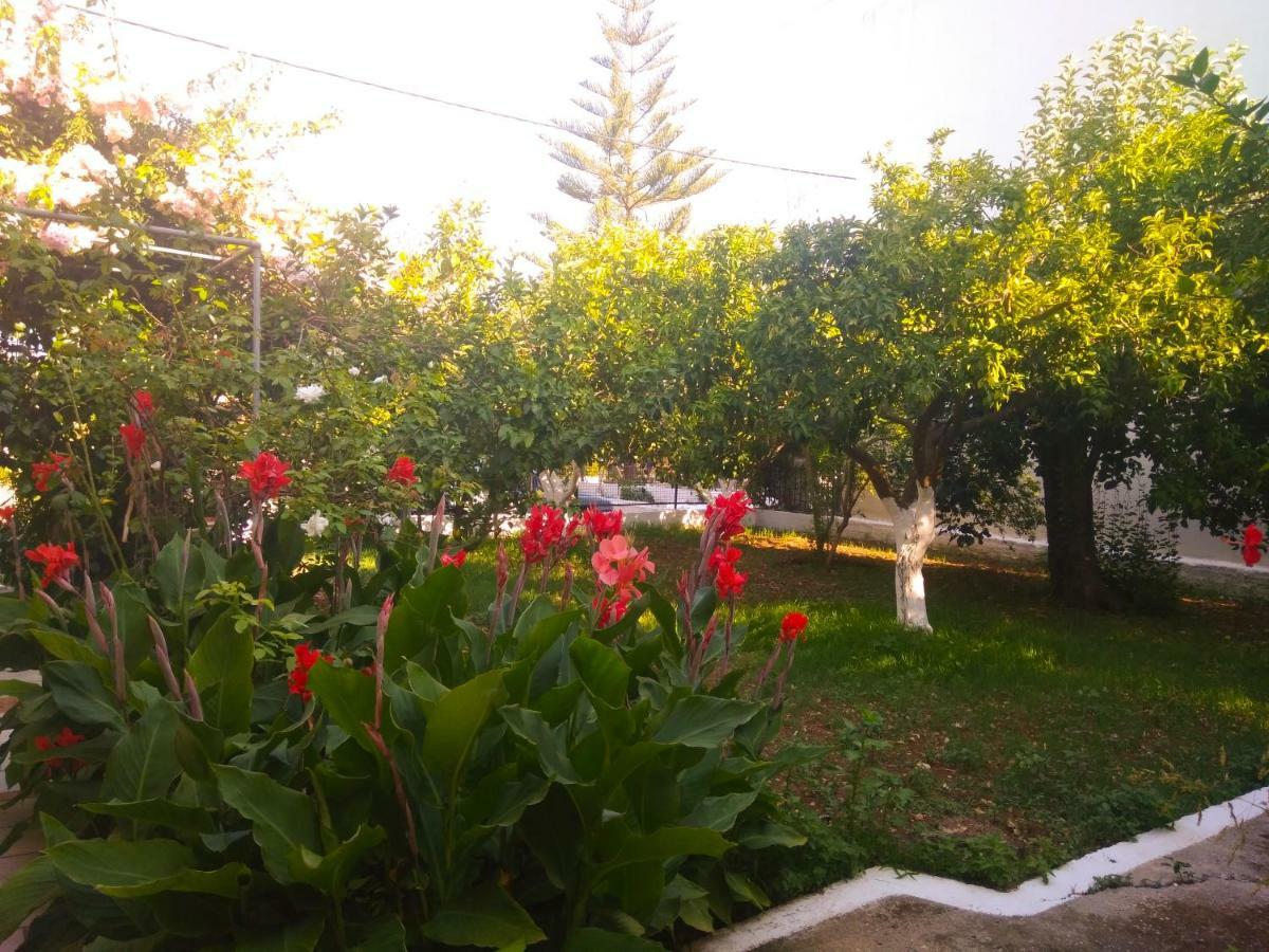 House With Garden Near The Sea Apartment Agia Efimia Екстериор снимка