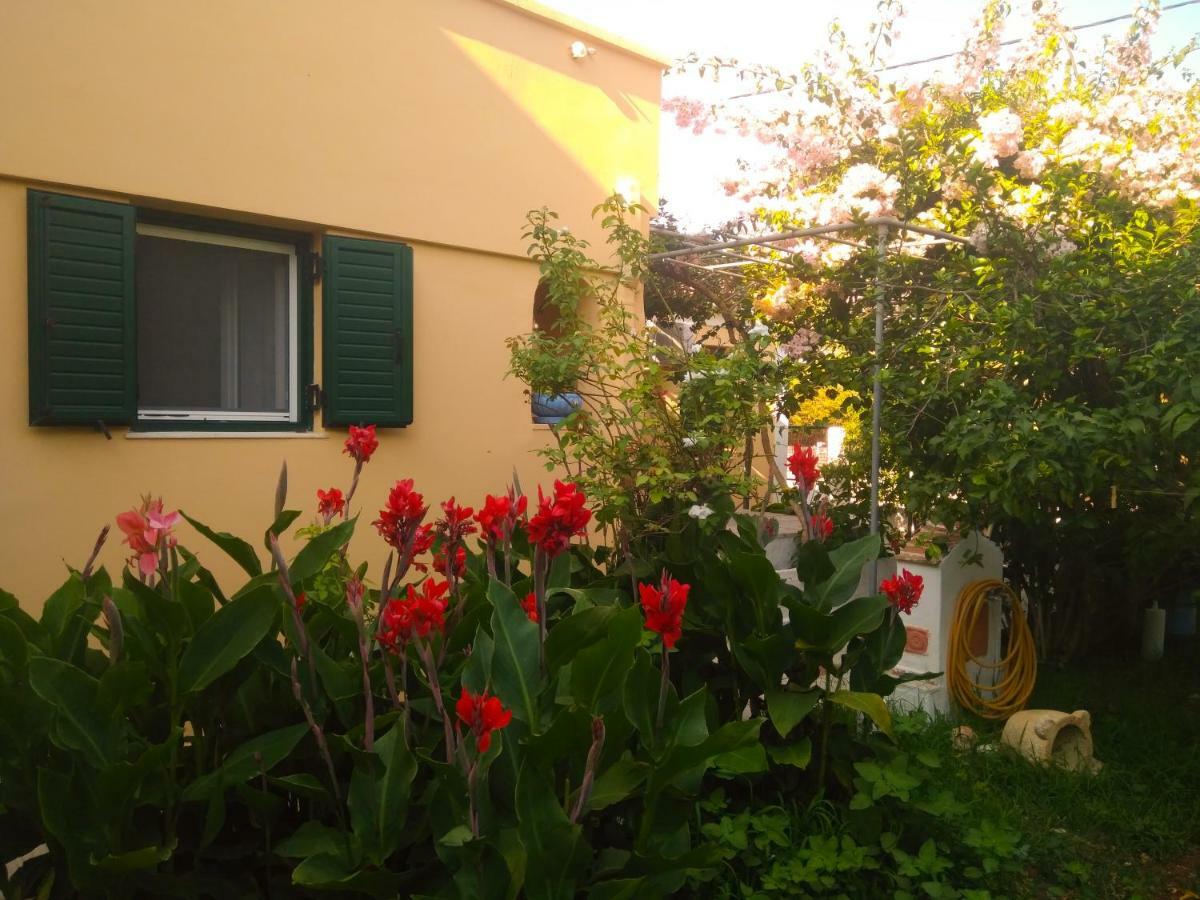 House With Garden Near The Sea Apartment Agia Efimia Екстериор снимка