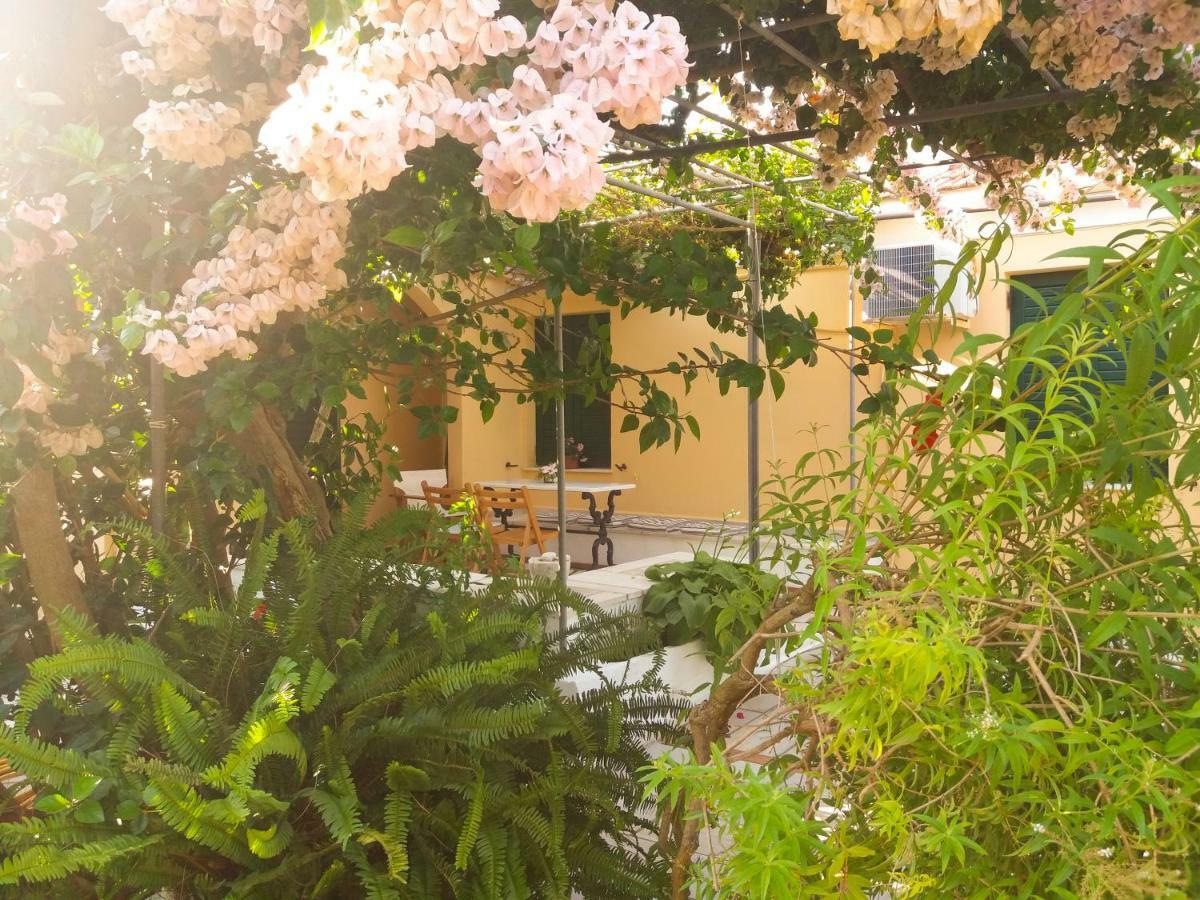 House With Garden Near The Sea Apartment Agia Efimia Екстериор снимка
