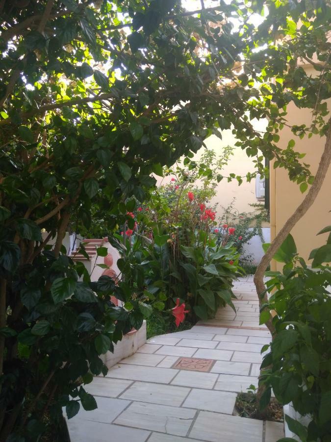 House With Garden Near The Sea Apartment Agia Efimia Екстериор снимка